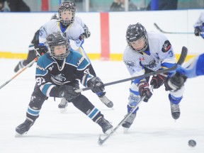 SARAH DOKTOR Times-Reformer
Simcoe's Joel Storoschuck reaches for the puck at the same time as Delhi's Ryan Jamieson during their Southern Counties game at the Delhi Community Arena on Feb. 26. Delhi won 3-2.