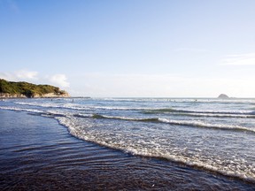 Muriwai beach. (Fotolia)