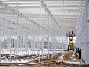 A $65 million greenhouse tomato production facility currently under construction in Chatham will see its first crop planted in July. DIANA MARTIN/ THE CHATHAM DAILY NEWS/ QMI AGENCY