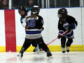 A player from the Paris Team Wight U10 ringette squad tries to evade two St. Thomas players on Friday, Feb. 22, 2013 during their first game of a three-day tournament hosted at the Brant Sports Complex by Paris Ringette. MICHAEL PEELING/THE PARIS STAR/QMI AGENCY