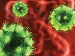 The Norovirus is a common cause of gastroenteritis oubreaks.
File image