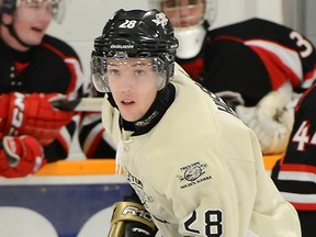 Trenton Golden Hawks forward Shawn Hulshof has been named the Gongshow Gear Northeast Conference Player-of-the-month for February, the Ontario Junior Hockey League announced on Thursday.