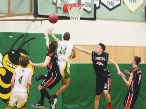 The Fort Saskatchewan High School Sting senior boys won their first playoff matchup on Monday against Leduc’s Christ the King Chargers, in a 62-56 game. The senior girls were not as lucky, dropping the ball on shooting on their way to a loss and the subsequent end of their season.
Photo by Aaron Taylor/Fort Saskatchewan Record/QMI Agency