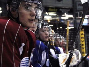 From left: Alex Renaud, Josh Chapman, Davis Brown and other members of the Sarnia Sting watch their teammates run a drill during practice. PAUL OWEN / THE OBSERVER / QMI AGENCY
