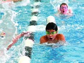 Swimmers warm up at a recent meet hosted by Silver Tide Swim Club. The regional swim meet held on Thursday, Feb. 21 to Sunday, Feb. 24 at Millennium Place helped qualify four of the club’s members to move onto the provincial championships in Calgary this weekend. Leah Germain News Staff