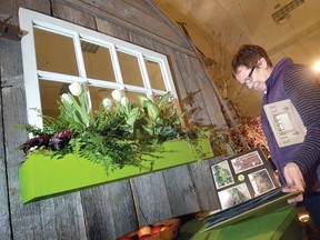 GREEN TO GO
SCOTT WISHART The Beacon Herald
Janis Neeb looks over some of the work featured in the collection of Helena Luyten of Helena's Gardening at The Lung Association's Stratford Garden Festival sponsored by Orr Insurance at Stratford Rotary Complex on Friday.