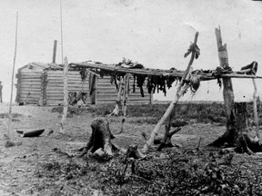 First Nations peoples were an important part of the fur trade system. John Buffalo is seen here at his camp in 1908; his drying racks are full with a variety of pelts.
