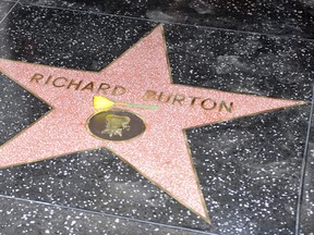 The late Richard Burton is honoured with a Hollywood Star on the Hollywood Walk of Fame. Apega/WENN.com