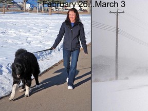 Deanna Atkins, who lives north of Vulcan, was in town Feb. 26 to take Rascal, who she was babysitting, out for a walk in pleasant weather that reached low double digits at the playground and picnic area near the rodeo grounds. Usually one of the coldest months of the year, February was rather mild this year. Less than a week later on March 3, Vulcan, along with much of the southern part of Alberta, returned to subzero temperatures when a snowstorm swept the region. The storm caused near zero visibility, and led RCMP in municipalities from north of Calgary to Lethbridge to advise travellers to stay off main and secondary highways.