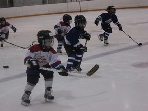 The first goal was certainly having fun, as the Polar Cup participants dominated the J.J. Parr arena  April 28 to March 2.