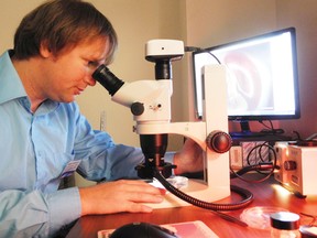 Dr. Andrew Bramburger, research scientist for the St. Lawrence River Institute of Environmental Sciences, looks through a microscope.
Staff photo/ERIKA GLASBERG