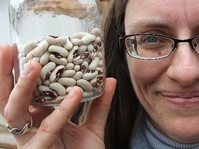 Cate Henderson, seed saver and gardener with the Heirloom Seed Sanctuary, holds jars of soldier beans, on left, and Monk peas, which can be traced back to the 1500s.
Michael Lea The Whig-Standard