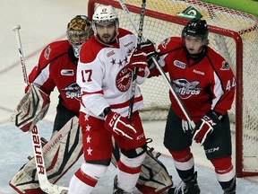 Hounds forward David Broll