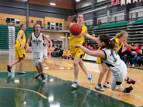 Spruce Grove Panthers forward Holly Johnson attempts a sprawling pass to her teammate during the fourth quarter of their game against the Bev Facey Falcons at the Edmonton Zone 2013 High School 4A Girls playoffs at the Saville Community Sports Centre on Saturday, Mach 9, 2013. The Panthers won the game 57-32 to clinch their spot in provincials. TREVOR ROBB/EDMONTON EXAMINER