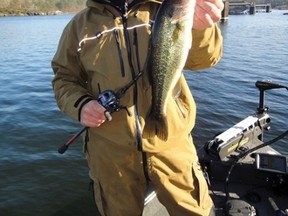Jeff Gustafson shows off a bass taken in practice at Lewis Smith Lake.
