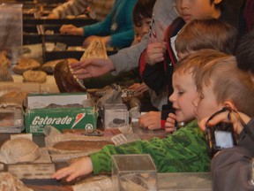 Residents of all ages gather around a table filled with fossils collected by Bob O'Donnell, a.k.a. The Fossil Guy, at the Brantford Public Library Saturday afternoon. (HEATHER CARDLE For The Expositor)