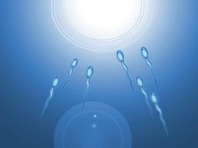 Image of sperm moving towards egg. (QMI Agency)