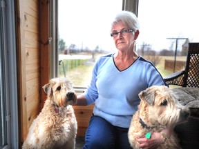 Sarnia resident Mary Van Reenen poses with her dogs Mollie and Ellie in her Sarnia, Ont. home Monday, March 11, 2013. Van Reeneen believes the city should consider a coyote cull after she and her neighbours have had close run-ins with the animals. (BLAIR TATE, Special to The Observer)