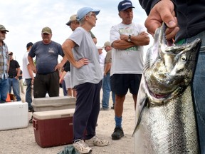 Anglers line up to weight their catches during the first day of the Sydenham Sportsmen's Association 25th annual Owen Sound Salmon Spectacular in 2012.