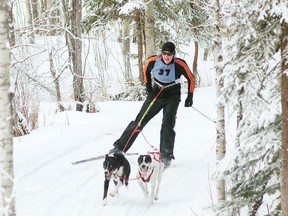 Ivar Appelman competing in the two-dog skijoring event,