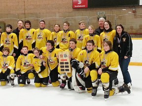 Contributed Photo
The Waterford Waynco Bantam 1 Wildcats recently captured the Inter-Town Bantam B Championship. Pictured are, front row: Willy Johnson, Brady Henry, Alex Zeibari, Dan Zeibari, Aiden Prieur, goalie Michael Martin, Joshua Beaulieu and Evan Hardwick. Middle row: Ethan Persall, Tyler Sowden, Josh Tayler,P atrick Ciccaglione, Conar Mckenzie, Matthew Grohs, Cassidy Henry and Sarah Kenney. Back row: coach Dave Henry, assistant coach Rob Grohs, trainer Scott Sowden and manager Rachel Beaulieu.
