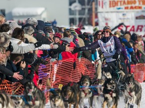 Paige Drobny of Fairbanks heads out of the gate at the re-start of the Iditarod dog sled race in Willow, Alaska March 3, 2013. (REUTERS/Nathaniel Wilder)