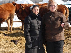 Mattagami Heights Farm has begun to sell its local, grass-fed beef to Timmins’ own Fish Bowl restaurant. The change marks a moment of success for Taste of Timmins, an organization whose goal is to inspire the restaurants and food suppliers of Timmins to go local. Standing in a corral packed with pregnant cows are Taste of Timmins founder Rosalia Rivera and Mattagami Heights Farm owner and operator Noella Farrell.