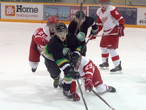 The Sherwood Park Junior B Knights punched their ticket to provincials with a 4-1 semifinal series win over the Red Wings. Photo by Shane Jones/Sherwood Park News/QMI Agency