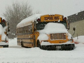 School buses under snow