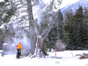 Alpine Precision Tree Services cut down trees in the Parks Canada administration grounds Monday, March 18. In all, 60 trees deemed dangerous will be removed the site. Larissa Barlow/ Banff Crag & Canyon
