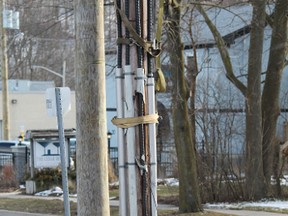 The damaged hydro pole on Broadway Street.