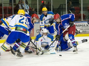 colts and carleton place