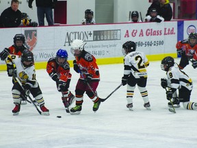 Members of the Cold Lake Crushers and Strathcona Vipers hustle for the puck during the Cold Lake Frostbite tournament for second-year novice players at the Energy Centre and North Arena Mar. 23 and 24. Ten teams from various places in Alberta and Saskatchewan participated  in the event.