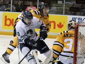 The puck bounces away from Plymouth Whalers forward Tom Wilson (in white) as he drives takes on Sarnia Sting defenceman Tyler Hore and goalie J.P. Anderson during Game 3 of their opening round playoff series Monday, March 25, 2013 at the RBC Centre in Sarnia, Ont. (PAUL OWEN/THE OBSERVER/QMI AGENCY(