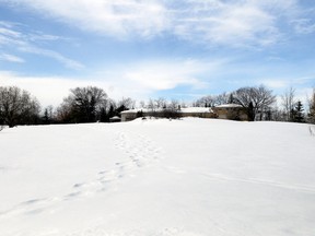 Adam Jackson/Daily Herald-Tribune
A vacant house in the Crystal Lake area has some nearby residents concerned for their safety, but the City of Grande Prairie has devised a multi-departmental approach to deal with the issue.