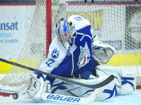Sudbury Wolves goalie Franky Palazzese stops one of the 40 shots he faced n Tuesday night against the Brampton Battalion, the Wolves  won 3-1  and now lead the series 2-1 with game 4 going this Thursday night at the Sudbury Community Arena at 7:30.

GINO DONATO/THE SUDBURY STAR
