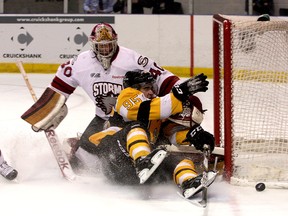 Leafs prospect and Guelph Storm goaltender Garret Sparks isn't afraid to stand his ground in his crease. (QMI Agency Files)