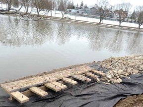 Upper Thames River Conservation Authority installed wooden cover structures to provide shelter for aquatic life and buttressed the shoreline of the Avon River in Stratford off William St. Wednesday. (SCOTT WISHART The Beacon Herald)