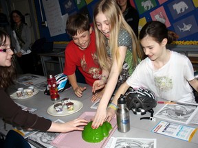 Alexis Desarmeau, left, Thomas Fearnley, Olivia Claveau and Maya Ranger check out a gelatin brain during Brain Day activities at King George Public School, Wednesday.