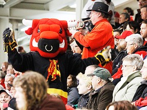 Fans cheer the Belleville Bulls during a recent playoff game at Yardmen Arena. Built in 1978, Yardmen Arena is the last rink in the OHL not to be replaced or renovated in the last several years. (Jerome Lessard/The Intelligencer)