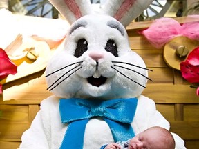 The Easter Bunny visits Edmonton's children every spring. File Photo/QMI Agency.