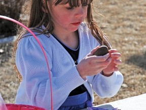Cora Thomson, 5, gets ready to enjoy a chocolate egg Saturday morning at the Carmangay Centennial Park, where an Easter egg hunt was organized by the Carmangay Craft and Quilting Club. She came out with her little sister Libby, six months, and mom Penny. There were about 30 children who came out to take part in the hunt.