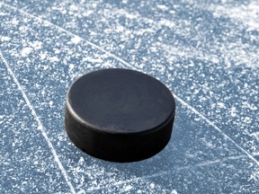 Image of a hockey puck. (Fotolia.com)