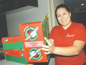 Yvonne Rempel, a year-round CONNECT volunteer with Operation Christmas Child in Portage la Prairie, is pictured at the Portage-area collection centre, Portage Alliance Church, with shoeboxes full of presents for hurting children around the world.
GRAPHIC/QMI AGENCY FILE PHOTO