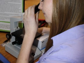 Chippewa Secondary School student Madeleine Yeomans gets a close-up look at microplastics at the North Bay Regional Science Fair, Wednesday, at Nipissing University. Yeomans' entry examined the presence of microplastics in filtered effluent in Lake Nipissing.
