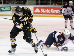 Sarnia Sting forward Brett Hargrave (11) breaks away from fallen Barrie Colts defender Jake Dotchin (2) earlier this season. Hargrave was Sarnia's first round pick in the 2012 OHL Priority Selection. His successor will be chosen Saturday. PAUL OWEN/THE OBSERVER/QMI AGENCY
