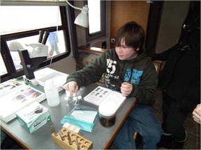 Prince Charles Grade 6 student Caleb Dennis examines insect specimens in the BIObus, a mobile field laboratory brought to the school by the Biodiversity Institute of Ontario. The students are involved in a provincial study that explores insect diversity in playgrounds.