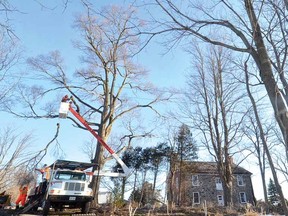 Crews from Lange Bros. begin the work Thursday of taking down a 30-metre-high elm that posed a threat to the adjacent Fryfogel's Tavern east of Shakespeare. (SCOTT WISHART, The Beacon Herald)