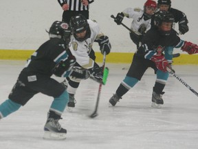 The Novice 3 Devon Drillers claimed the league gold banner on Sunday, Mar. 24, beating out Westlock for the top spot. More DMHA photos on page 11.