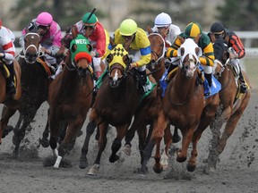 The future of horse racing in Ontario will depend on its fans, says columnist Snobelen.
QMI AGENCY FILES